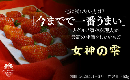 「今までで1番うまい」とうなったイチゴ[女神の雫] 2026年1月 2月 3月 4月 450g 岐阜県 美濃市 じゅん農産 1 苺