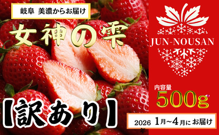 [訳あり]「今までで1番うまい」とグルメ家がうなったイチゴ[女神の雫] 2026年1月 2月 3月 4月 450g 岐阜県 美濃市 じゅん農産 訳アリ 苺