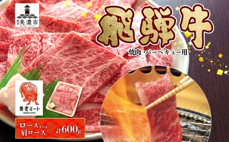 飛騨牛 ロースor肩ロース 焼き肉・BBQ用 計600g 肉 肩肉 お肉 牛 牛肉 和牛 国産牛 国産 日本産 BBQ 焼肉 焼き肉 冷凍保存 小分け イベント 一人暮らし お取り寄せグルメ ご当地 岐阜県 美濃市