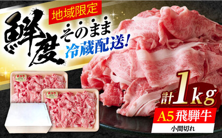 ①z/n聦 ˋ Ԑ () 500g×2Zbg Qs / ȂQ a Y 򕌌Y [AZCI027]
