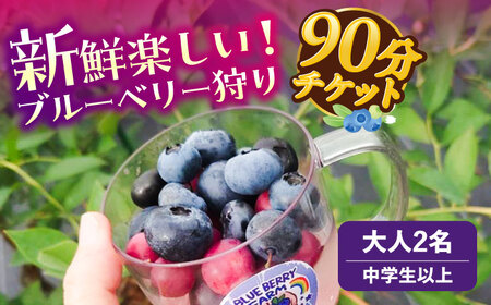 ブルーベリーファーム瑞浪 ブルーベリー狩り 90分 大人(中学生以上) 2名様分 チケット[AZCX001]