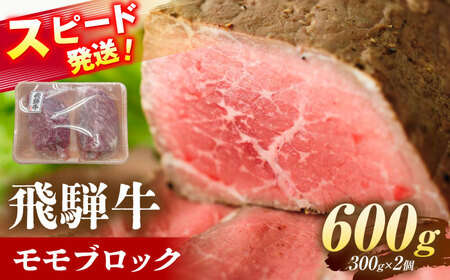 ˋ  ubN 600g (300g×2) Qs / {V~[g Ⓚ Ԑg a Mtg [AZDB009]