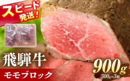 ˋ  ubN 900g (300g×3) Qs / {V~[g Ⓚ Ԑg a Mtg [AZDB010]