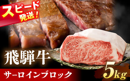 飛騨牛 サーロイン ブロック 5kg 瑞浪市 / 養老ミート 冷凍 和牛 ギフト[AZDB014]