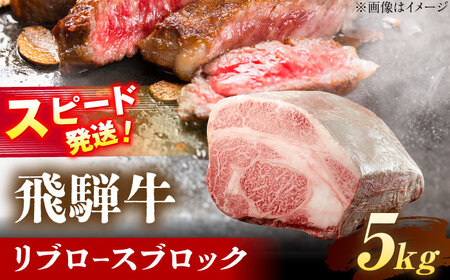 飛騨牛 リブロース ブロック 5kg 瑞浪市 / 養老ミート 冷凍 和牛 ギフト[AZDB015]
