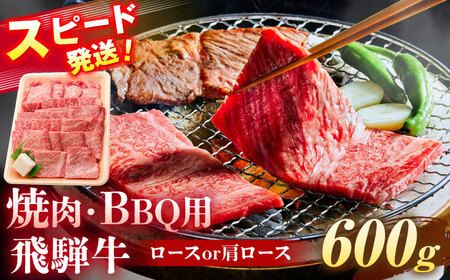 飛騨牛 焼肉 BBQ用 600g ロース 肩ロース [AZDB016]