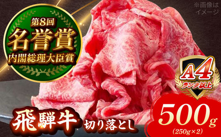 飛騨牛 切り落とし 500g (250g×2) 瑞浪市 / 肉のひぐち 国産 ブランド牛 和牛[AZDE001]