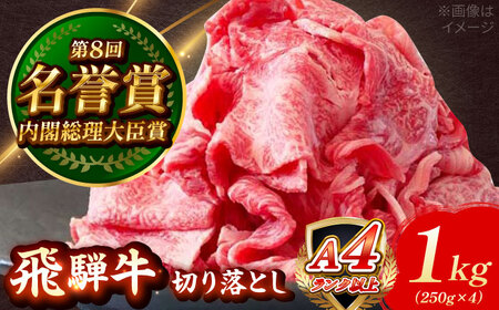 飛騨牛 切り落とし 1kg (250g×4) [AZDE002] 飛騨牛 牛肉