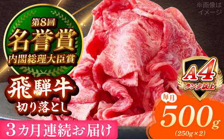 y3ցz ˋ ؂藎Ƃ 500g (250g×2) Qs / ̂Ђ Y uh a[AZDE015]