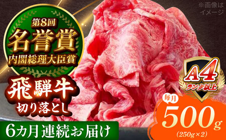 y6ցz ˋ ؂藎Ƃ 500g (250g×2) Qs / ̂Ђ Y uh a[AZDE016]