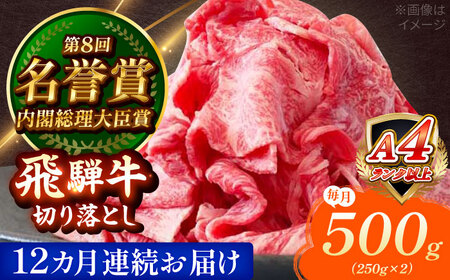 y12ցz ˋ ؂藎Ƃ 500g (250g×2) Qs / ̂Ђ Y uh a[AZDE017]