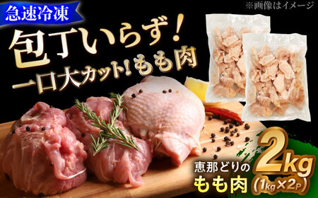 yⓀz b߂ǂ  Jbgς 2kg [AZBJ004] { {