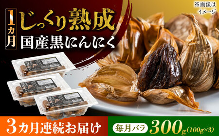 y3ցz Yn ɂɂ 300g (100g×3) o Qs / YZ̏nɂɂ XY jjN[AZCO016]