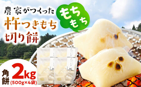 _Ƃn ؂ p 2kg i / 500g×4܁j ˂ӂgp Qs / _g@lg@Bc_g   򕌌Y Y Ԍ[AZBW004]