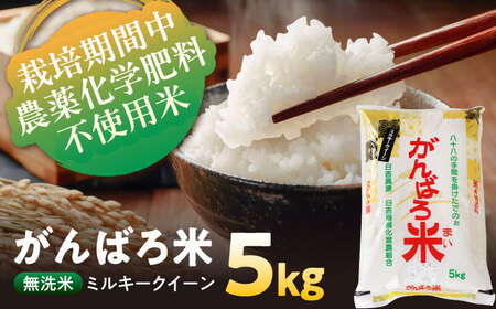 ＼お申込みは12月31日まで!/令和7年産 栽培期間中農薬化学肥料不使用米 無洗米 岐阜県産 ミルキークイーン 5kg がんばろ米&nbsp;瑞浪市 / 農事組合法人日吉機械営農組合[AZBW007]