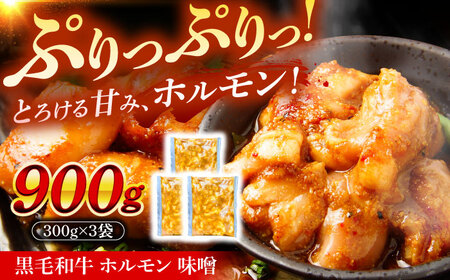 黒毛和牛ホルモン 味噌 900g （300g×3袋）[AZCW054] ホルモン