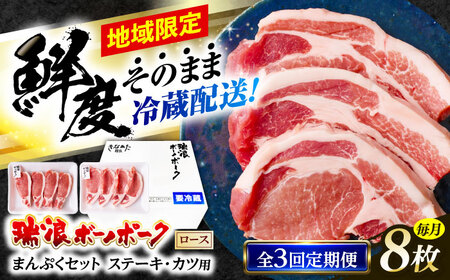 [3回定期便] ※冷蔵配送/地域限定※ 岐阜県産 豚 瑞浪ボーノポーク ロースステーキ 1kg まんぷくセット 瑞浪市 / きなぁた瑞浪[AZCI062]