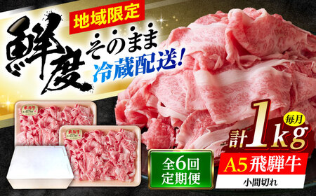 【6回定期便】 ※冷蔵配送/地域限定※ 飛騨牛 小間切 (大) 500g×2セット 瑞浪市 / きなぁた瑞浪 和牛 国産 岐阜県産[AZCI072]