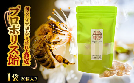 プロポリス飴 1袋 20個入り 瑞浪市 / 株式会社サンビートゥエンティーワン プロポリス 飴 蜂[AZDK002]