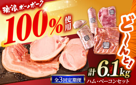 [3回定期便] ハム・ベーコン ブロック セット 瑞浪ボーノポーク 6.1kg (冷凍) 瑞浪市 / きなぁた瑞浪 詰め合わせ ギフト[AZCI113]
