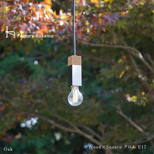 CTSH LIGHT. ペンダントライト SQUARE[Oak×クロム加工 E17] 瑞浪市 / ジオニック 照明器具 ソケット 鉄 木製 シルバー [AZBQ049]