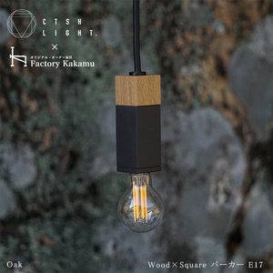 CTSH LIGHT. ペンダントライト SQUARE[Oak×パーカーライジング E17] 瑞浪市 / ジオニック 照明器具 ソケット 鉄 木製 ブラック [AZBQ061]