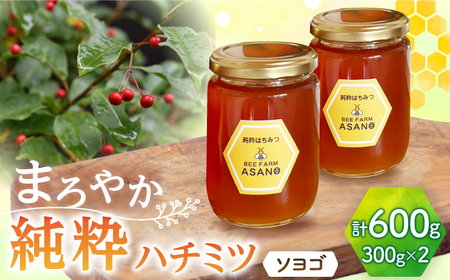 純粋ハチミツ ソヨゴ 300g×2 瑞浪市 / honey shop Bee farm asano 蜂蜜 はちみつ [AZBT010]