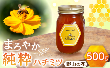 純粋ハチミツ 野山の花 500g×1 瑞浪市 / honey shop Bee farm asano 蜂蜜 はちみつ [AZBT005]