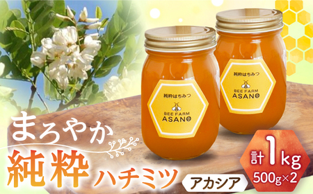【12/22までの決済で年内発送】純粋ハチミツ アカシア 500g×2 瑞浪市 / honey shop Bee farm asano 蜂蜜 はちみつ [AZBT003]