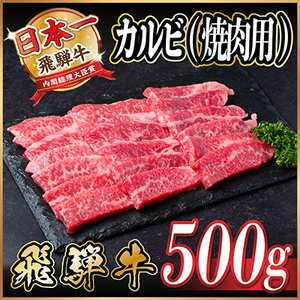 飛騨牛 カルビ 焼肉　500g【配送不可地域：離島】【1487355】