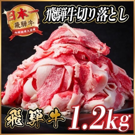 飛騨牛　切り落とし　約1.2kg(約400g×3)【冷蔵便】A4～A5等級 黒毛和牛 小分け_肉  牛肉 _【配送不可地域：離島】【1534704】