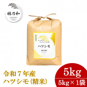 【先行予約】令和7年産　岐阜県産ハツシモ(精米)5kg【配送不可地域：離島】【1540832】