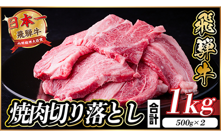飛騨牛 焼肉 切り落とし 約1kg(約500g×2)タレ付き 訳あり【冷蔵便】A4等級以上_肉 焼肉 牛肉 やきにく ヤキニク バーベキュー_【配送不可地域：離島】【1543362】
