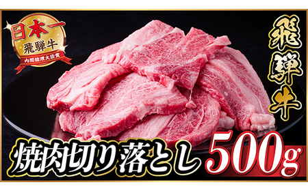 飛騨牛 焼肉 切り落とし 約500g タレ付き 訳あり【冷蔵便】A4等級以上_肉 焼肉 牛肉 やきにく ヤキニク バーベキュー_【配送不可地域：離島】【1543368】