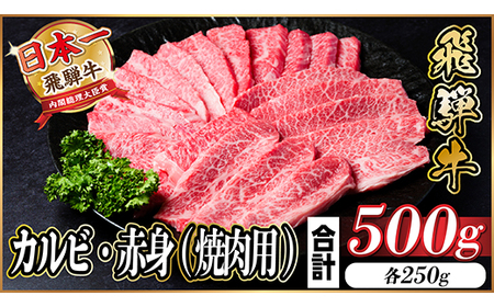 レビューキャンペーン実施中!飛騨牛 厳選カルビ・赤身(焼肉・BBQ用)500g A4〜A5[冷凍便]_肉 焼肉 牛肉 やきにく ヤキニク バーベキュー 肉 飛騨牛 牛肉 うし ビーフ_[配送不可地域:離島]
