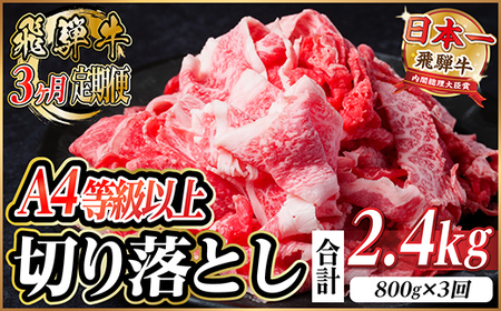 レビューキャンペーン実施中![毎月定期便]飛騨牛 厳選切り落とし 計2.4kg全3回 小分け_肉 飛騨牛 牛肉 うし ビーフ 定期便 定期便 _[配送不可地域:離島]