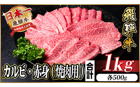 飛騨牛 カルビ・赤身(焼肉用) 1kg(各500g)_肉 焼肉 牛肉 やきにく ヤキニク バーベキュー  肉 飛騨牛 牛肉 うし ビーフ_【配送不可地域：離島】【1543764】