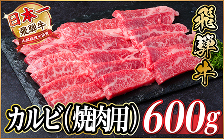 r[Ly[{!ˋ@IJr(ēEBBQp)600g@A4`A5@_ ē  ₫ɂ LjN o[xL[   ˋ   r[t_yzsnFzy
