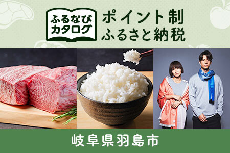 [有効期限なし!後からゆっくり特産品を選べる]岐阜県羽島市カタログポイント