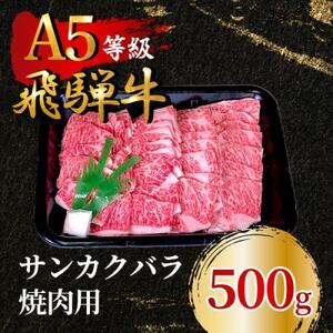 飛騨牛5等級 サンカクバラ焼肉用500g FTA284_肉 焼肉 牛肉 やきにく ヤキニク バーベキュー 肉 飛騨牛 牛肉 うし ビーフ_[配送不可地域:離島]
