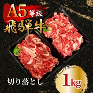 飛騨牛5等級 切り落とし1kg　FTA196_肉 飛騨牛 牛肉 うし ビーフ_【配送不可地域：離島】【1578220】