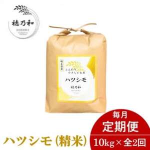 【発送月固定定期便】【先行予約】岐阜県産ハツシモ(精米)10kg全2回_ 精米 米   定期便 定期便  _【配送不可地域：離島】【4066714】
