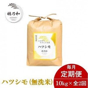 【発送月固定定期便】【先行予約】岐阜県産ハツシモ(無洗米)10kg全2回_ 無洗米 米 こめ コメ  定期便 定期便  _【配送不可地域：離島】【4067037】