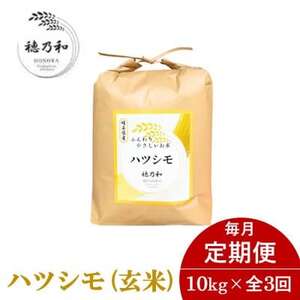 【発送月固定定期便】【先行予約】岐阜県産ハツシモ(玄米)10kg全3回_ 玄米 米 こめ コメ  定期便 定期便  _【配送不可地域：離島】【4067040】