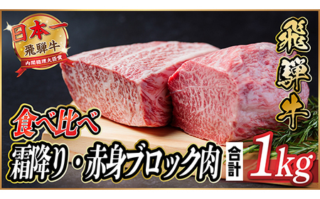 飛騨牛 霜降り・赤身ブロック肉食べ比べ 約1kg(各約500g)【冷蔵便】(タレ付) A4～A5等級【配送不可地域：離島】【1626320】