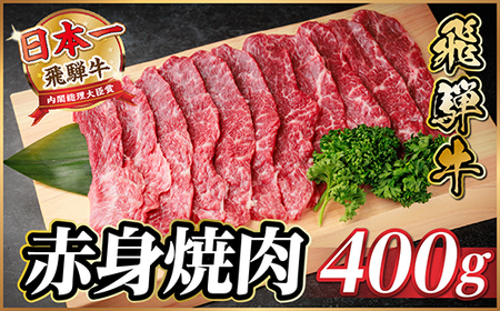 ˋ Ԑg(ēEBBQp) 400gy①ցzA4`A5 јayzsnFzy1646132z