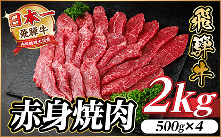 ˋ Ԑg(ēEBBQp) 2kg(500g×4)y①ցzA4`A5 јayzsnFzy1646215z