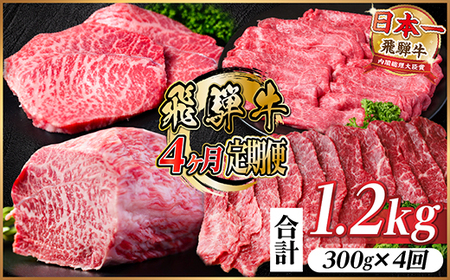 yցzˋ Ԑg v1.2kg ē BBQ Ă Ԃ ubNS4yzsnFzy4072753z