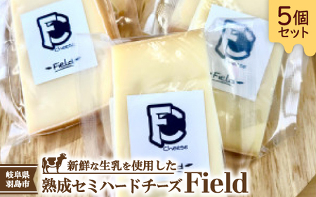 セミハードチーズ Field(フィールド)個包装5個セット[配送不可地域:離島]