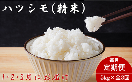 【発送月固定定期便】生産者応援!岐阜県産ハツシモ(精米)5kg【1・2・3月発送】全3回【配送不可地域：離島】【4073730】